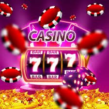 Blackjack Dragon Tiger Live Casino Table npt222